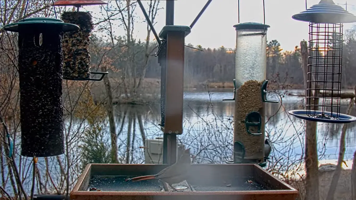 Antalya Güvenlik Kamerası
